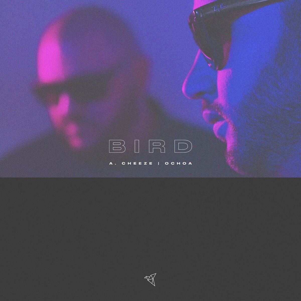 Album cover of Bird