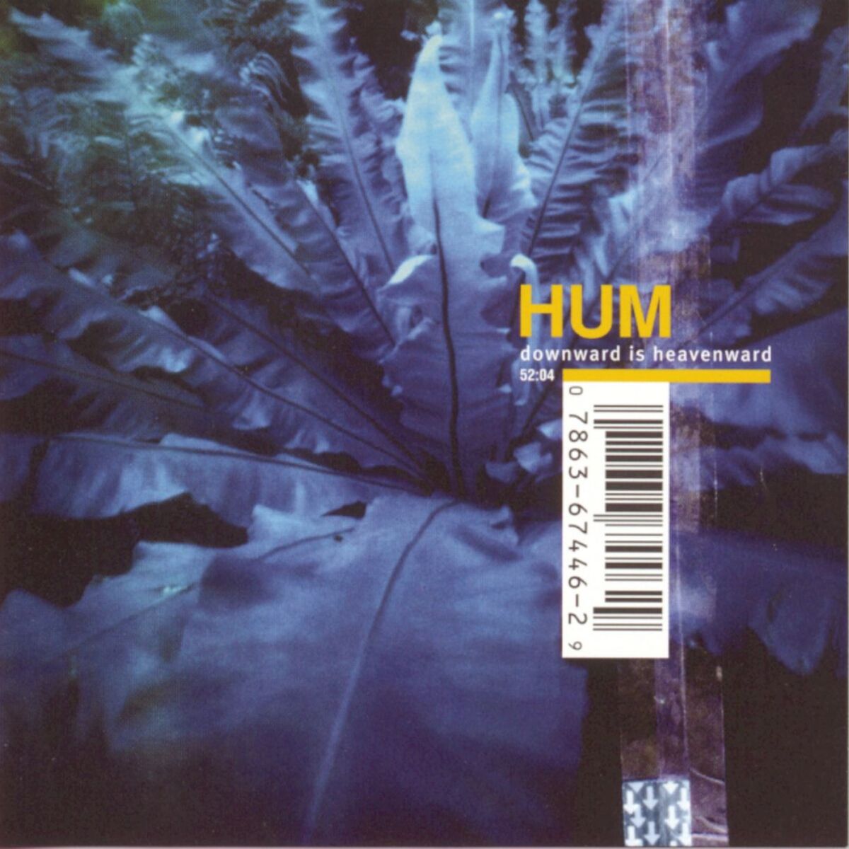 Album cover of Downward Is Heavenward