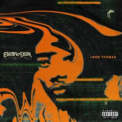 Cover of Electric Dusk