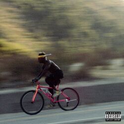 Cover of Endorphins
