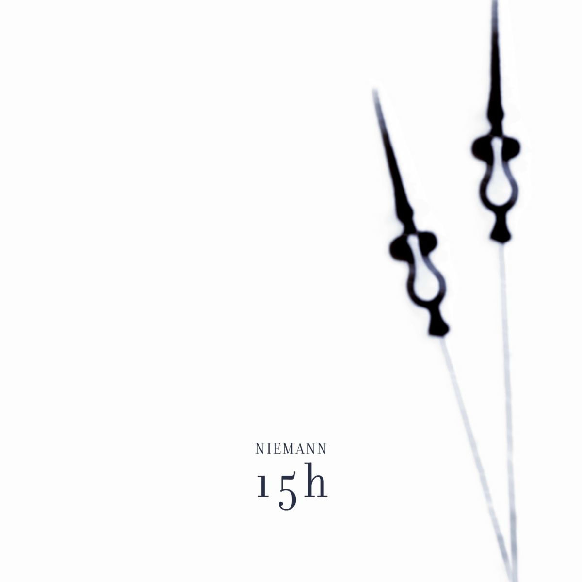 Album cover of Über den wind
