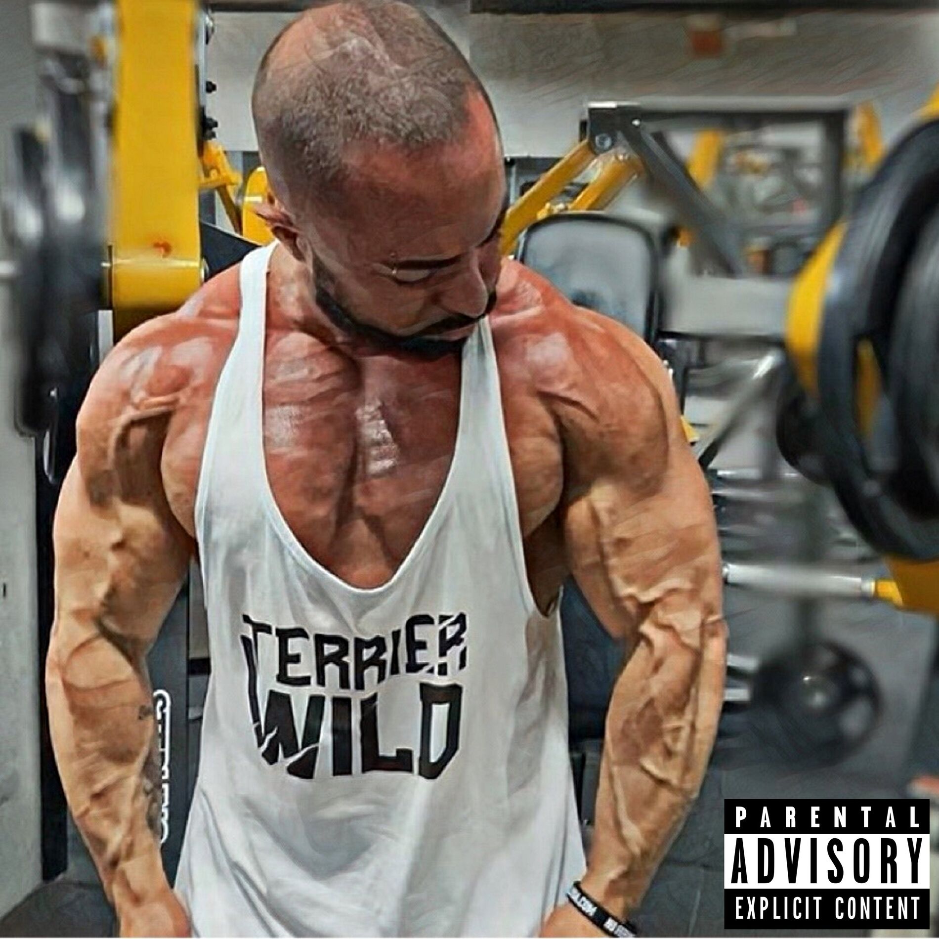 Album cover of Shape de Gringo