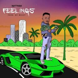 Cover of Feelings