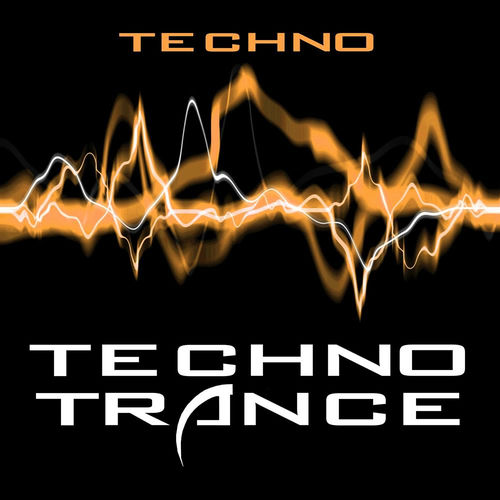 TECHNO TRANCE AND TORMENT MUSIC #1 国内CD TECHNO TRANCE AND TORMENT MUSIC #1 国内CD CD
