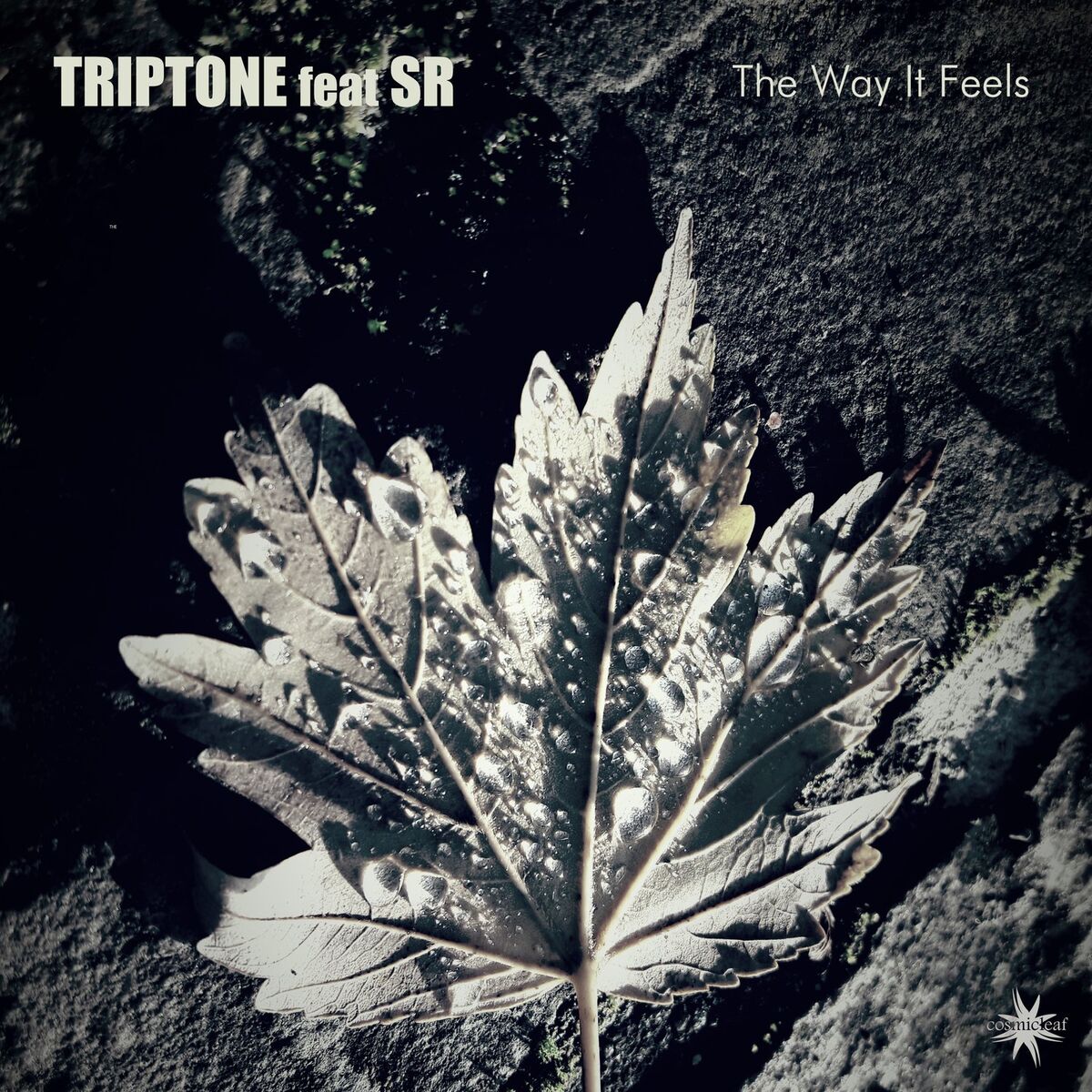 Album cover of The Way It Feels