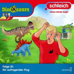 Cover of Folge 21: Ein aufregender Flug