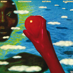 Cover of Natural Illusions