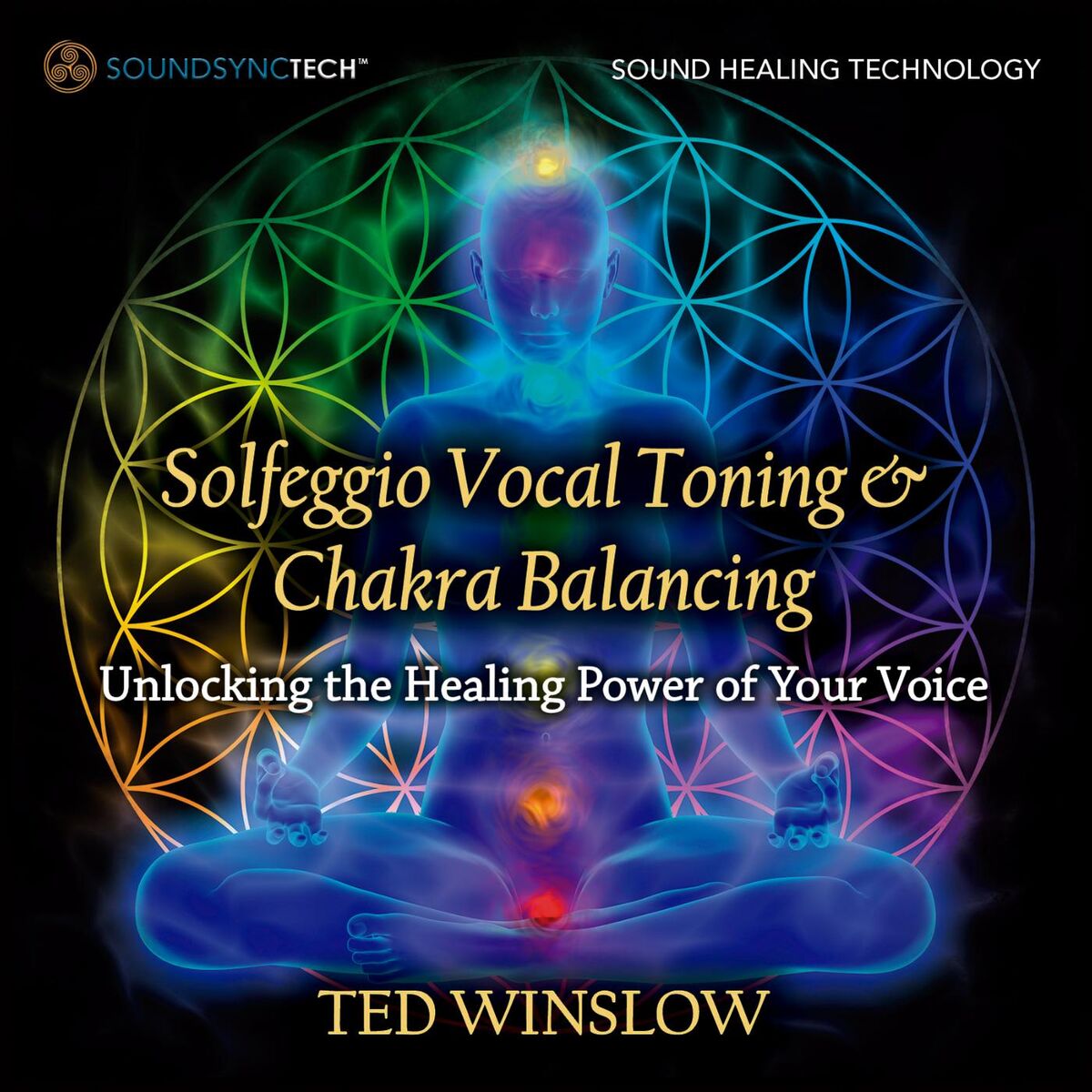 Album cover of Sacral Chakra (285 Hz) [Melody]