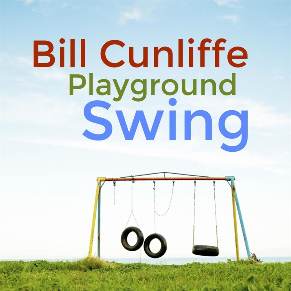 Picture of Playground Swing