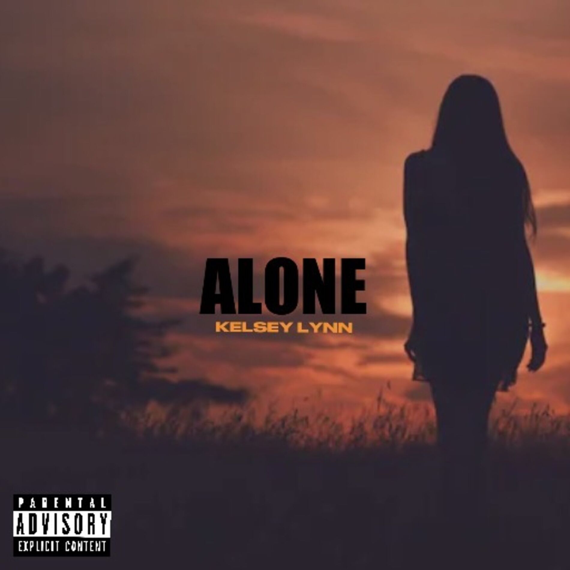 Album cover of Alone