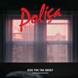 Cover of Give You The Ghost
