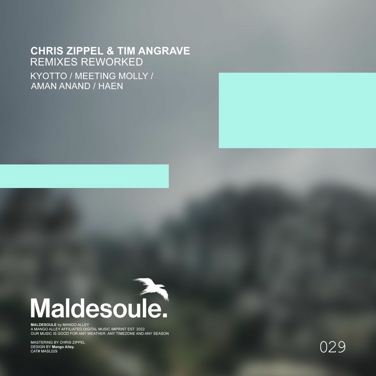 Album cover of Remixes Reworked