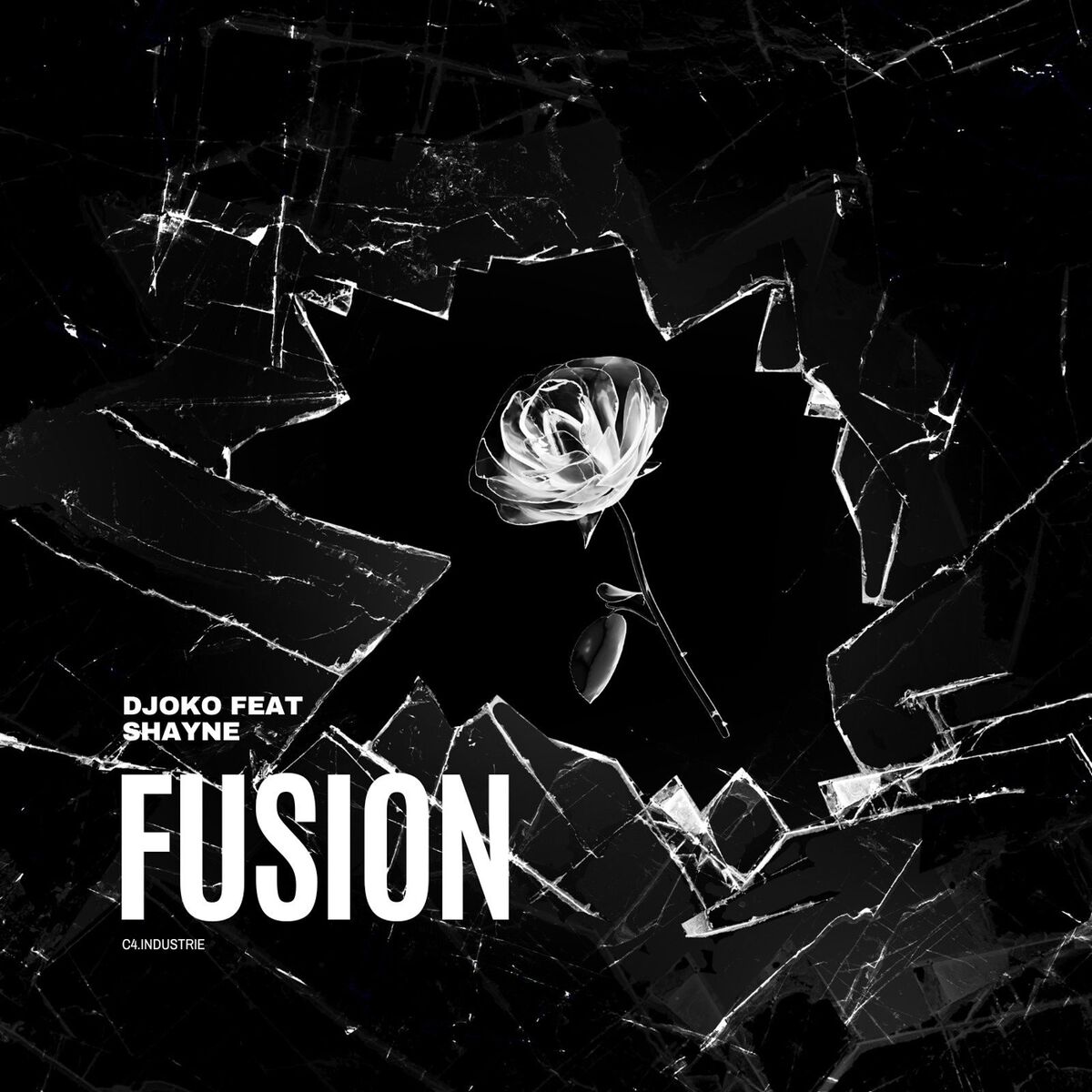 Album cover of Fusion