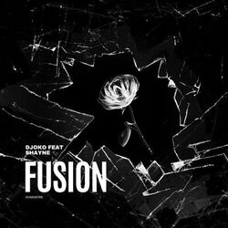 Cover of Fusion