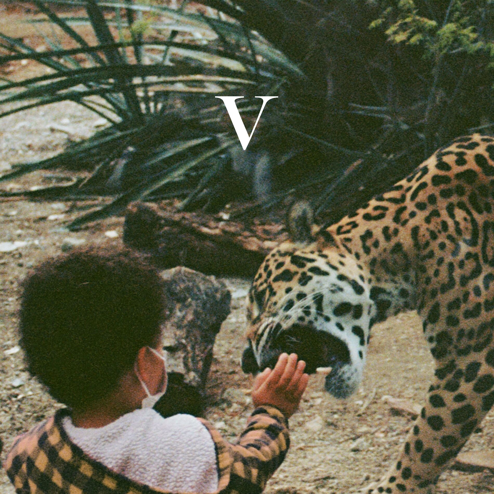 Album cover of The Garden