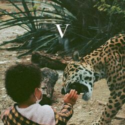 Cover of V