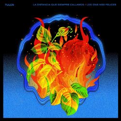 Cover of La distancia que siempre callamos / Los días más felices