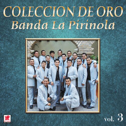 Cover of Colección de Oro, Vol. 3