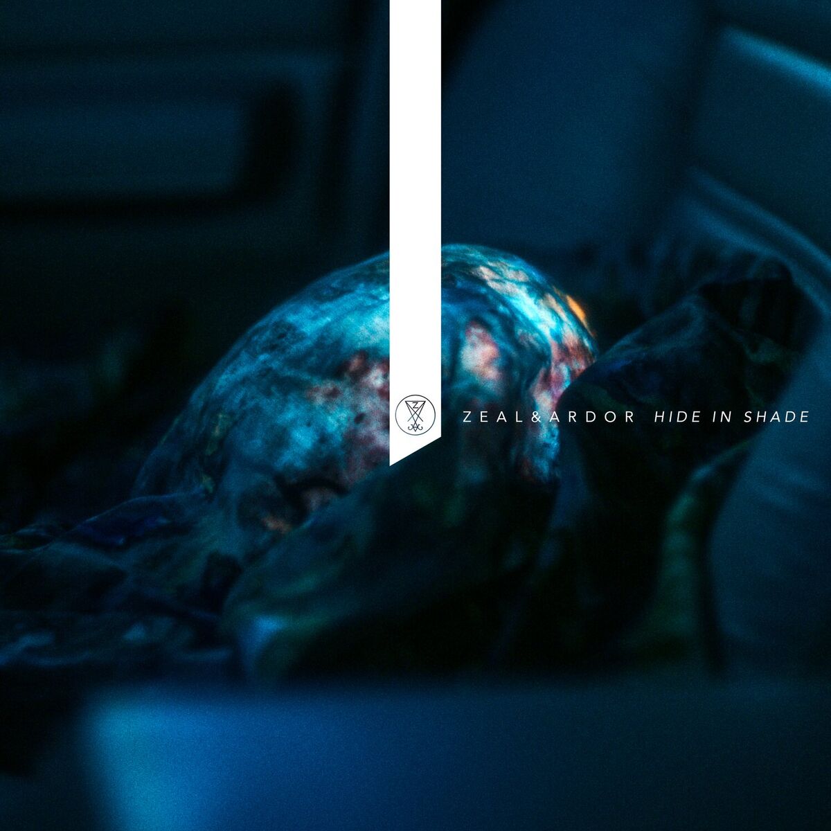 Album cover of Hide in Shade