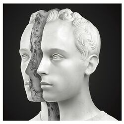 Cover of Holograms