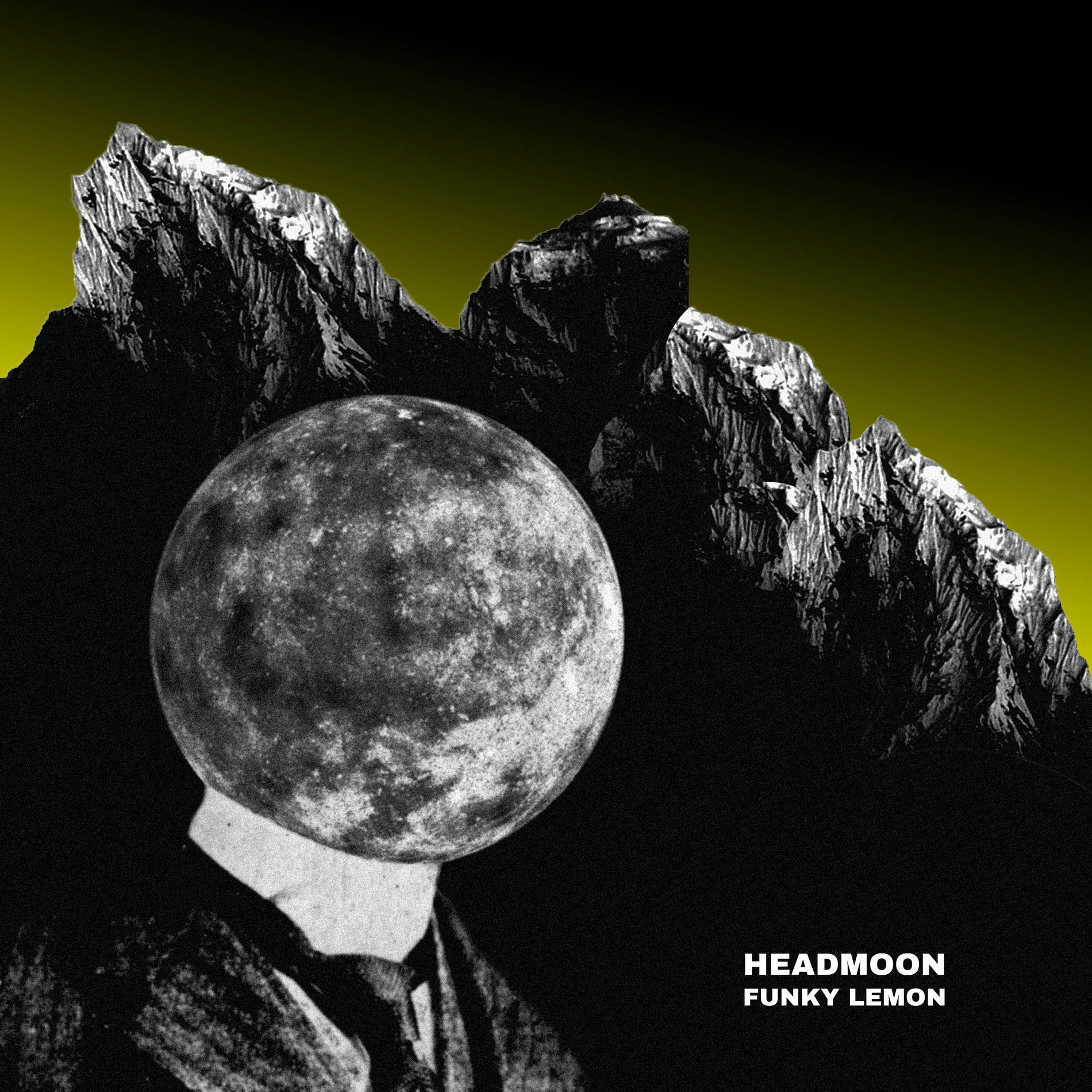 Album cover of Funky Lemon