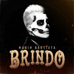 Cover of Brindo