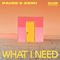 What I Need by Paige album cover