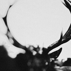 Cover of IHSAHN (Orchestral Version)