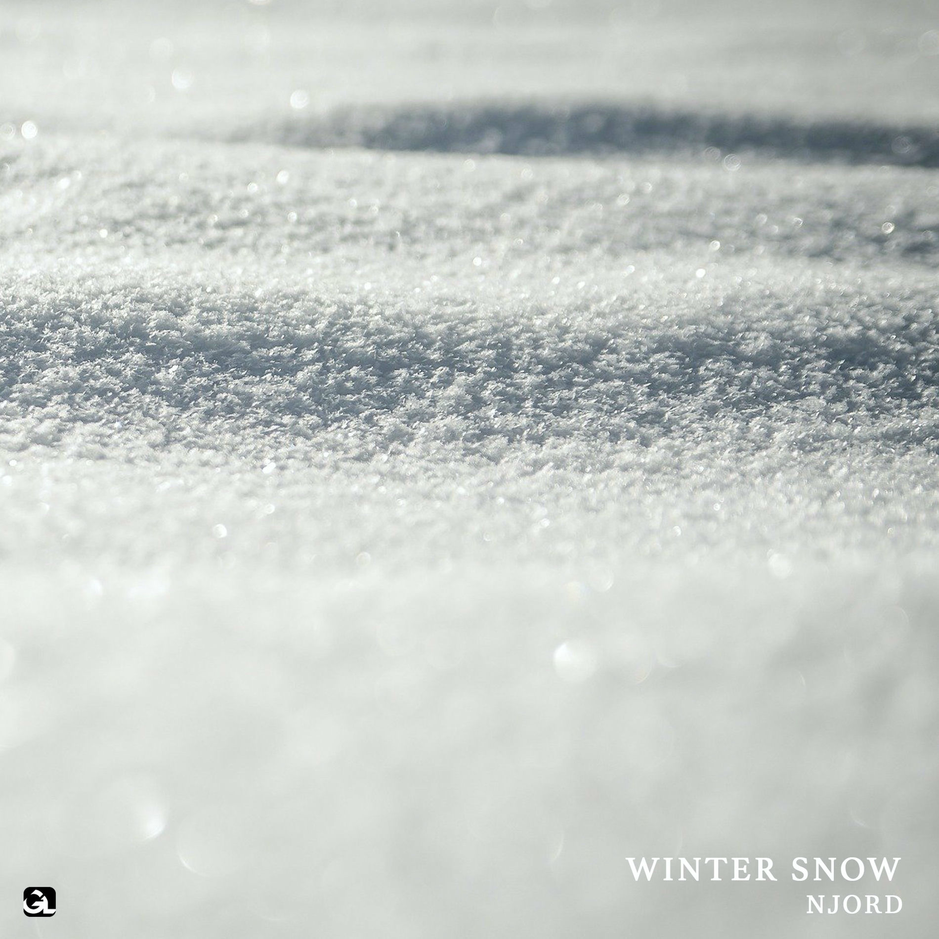Album cover of Winter Snow