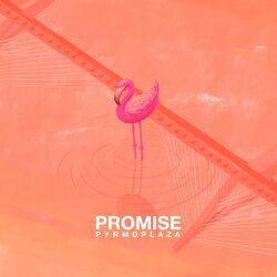 Cover of Promise