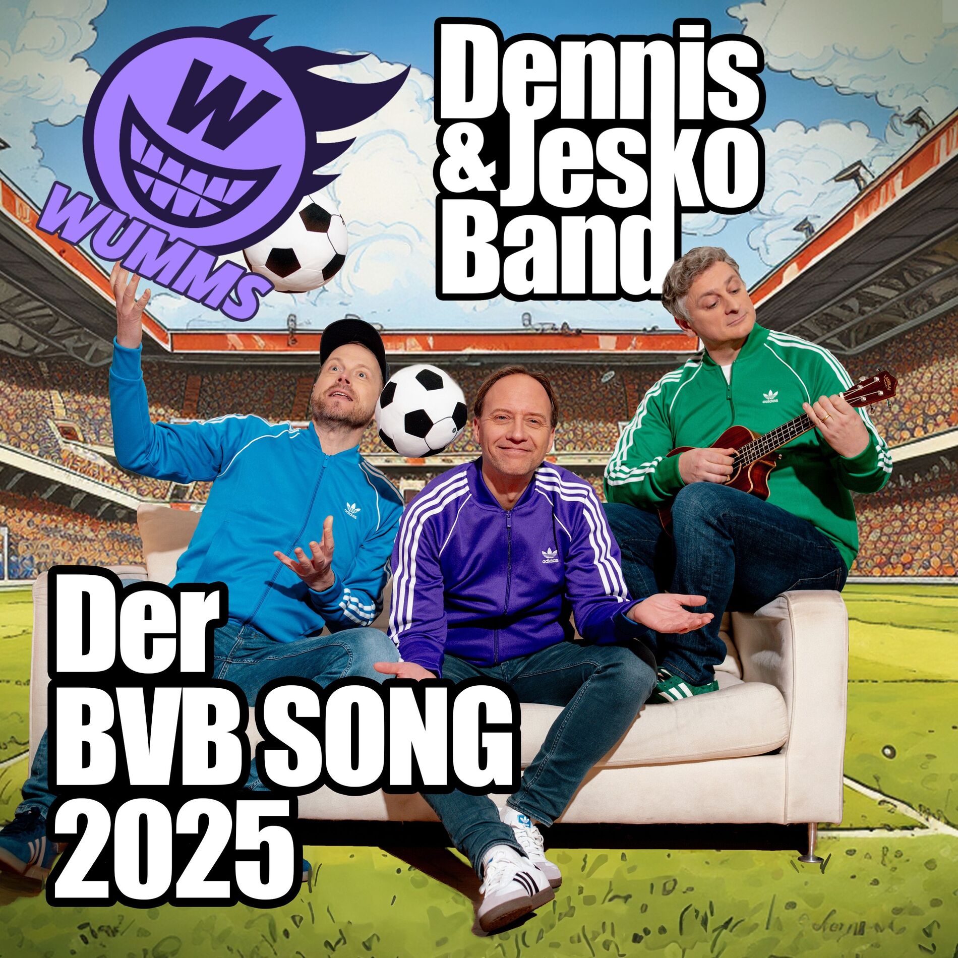 Album cover of Der BVB Song 2025
