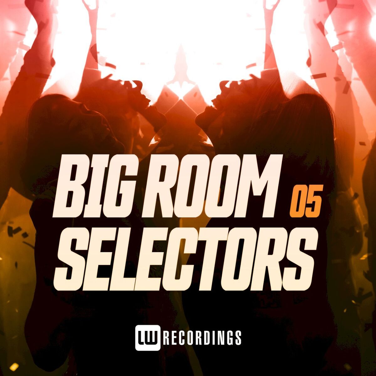 Album cover of Big Room Selectors, 05