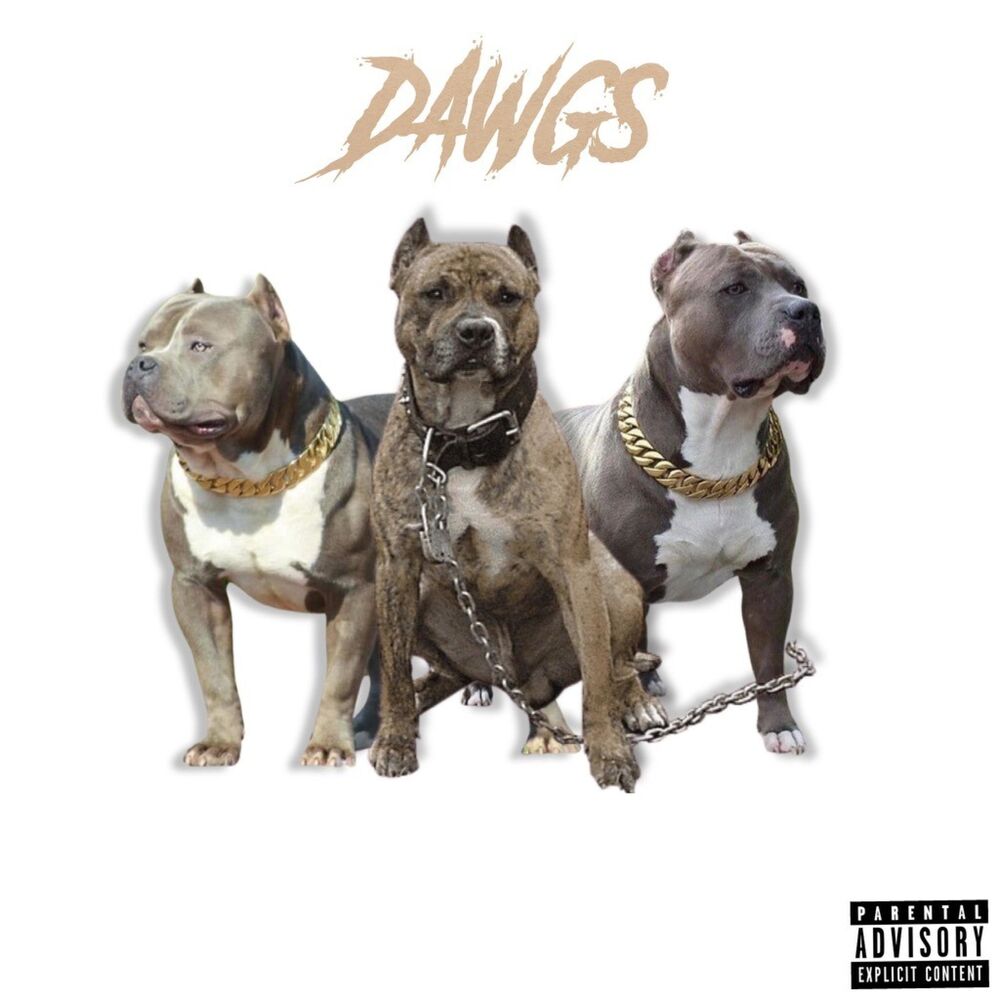 Picture of DAWGS