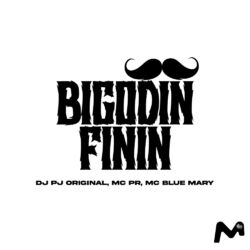 Cover of BIGODIN FININ