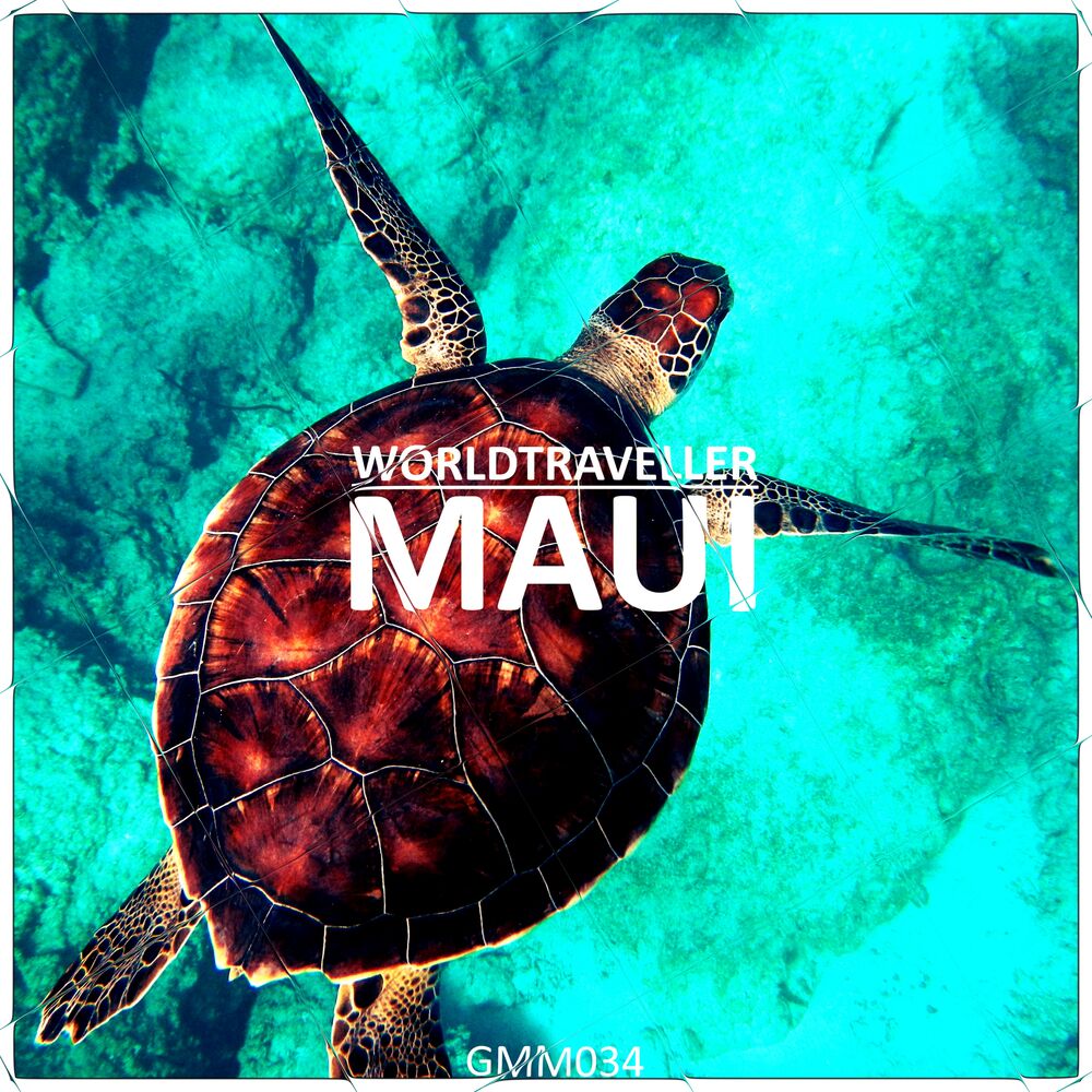 Picture of Maui