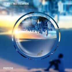 Cover of Perspective