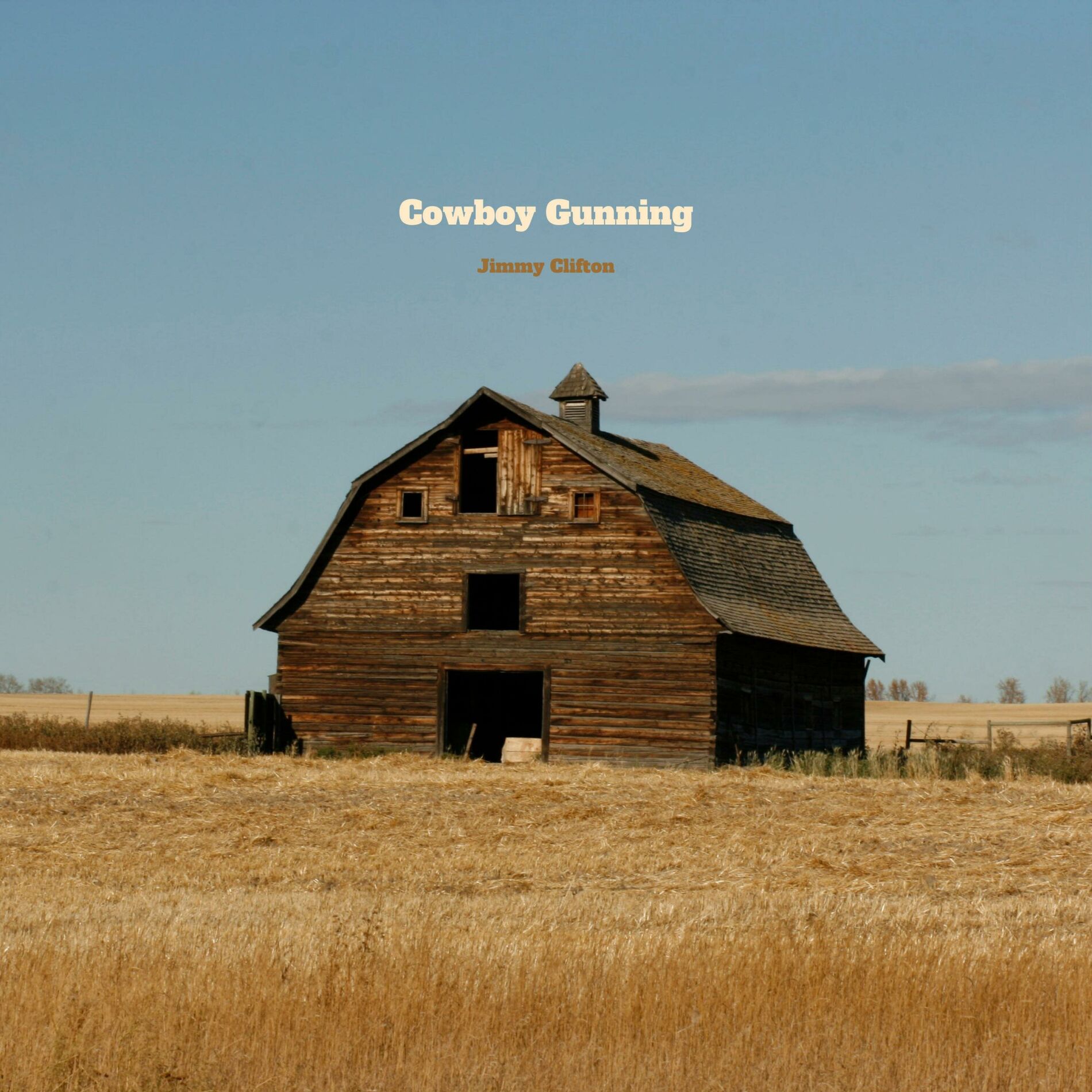 Album cover of Cowboy Gunning