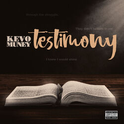 Cover of Testimony