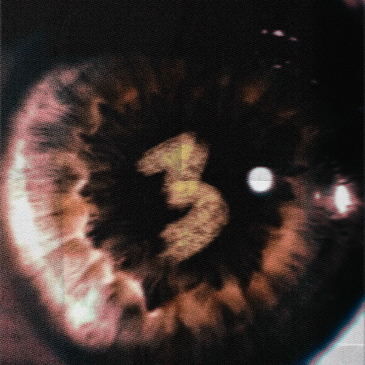 Album cover of TARD LE SOIR