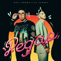 Cover of PEGAO