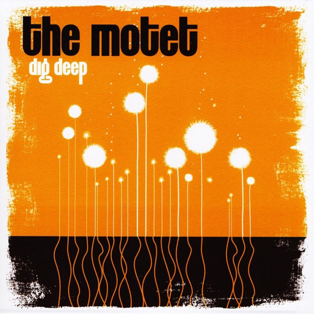 Picture of Dig Deep