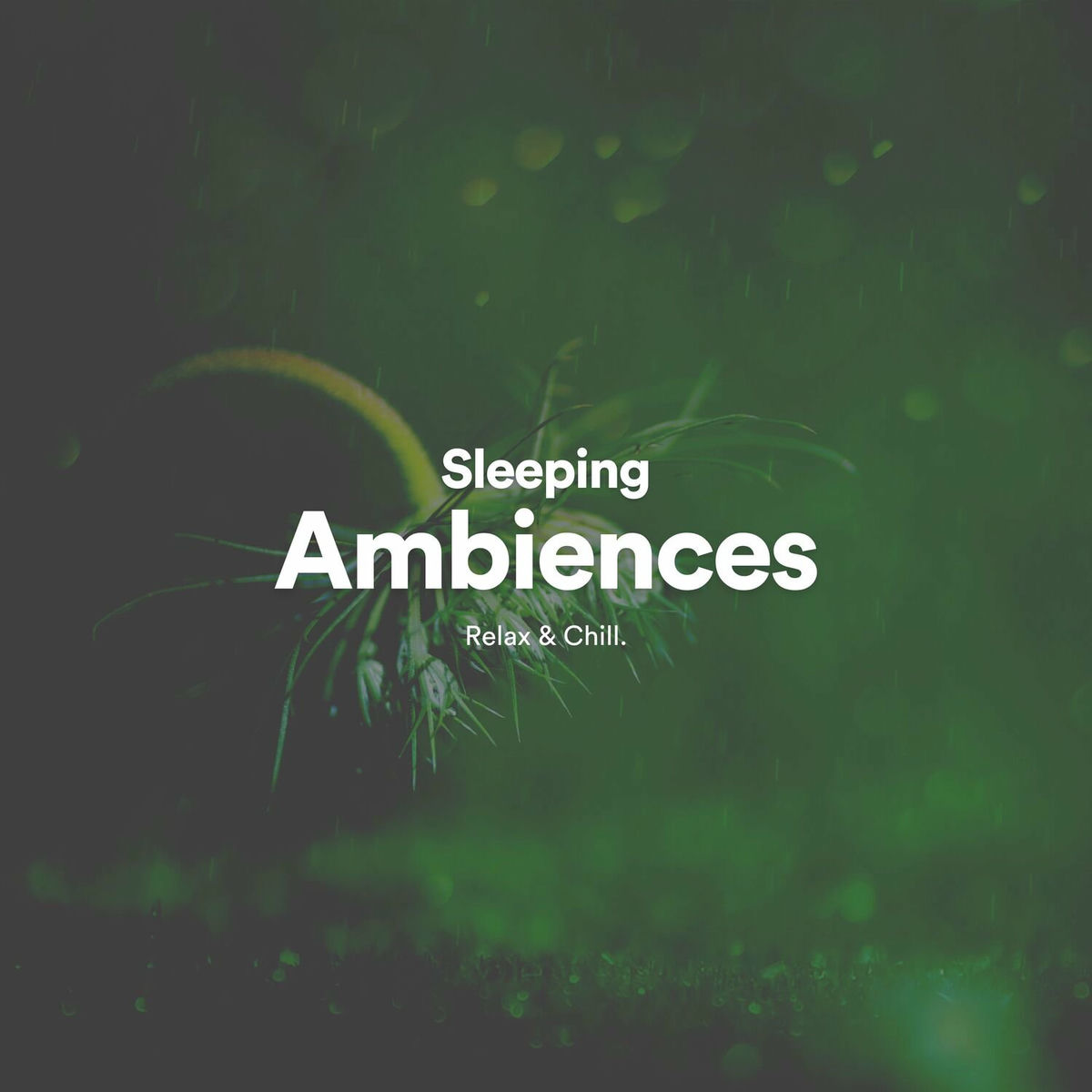 Album cover of Sleeping Ambiences