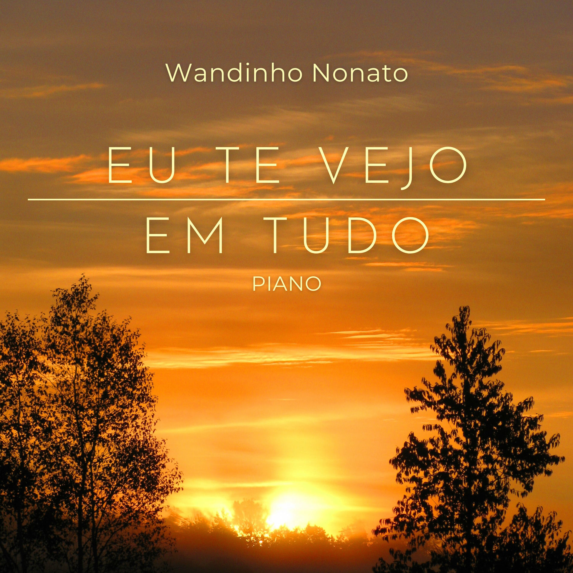 Album cover of Eu Te Vejo em Tudo (Piano)