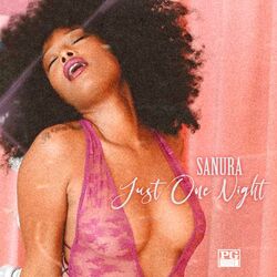 Cover of Just One Night