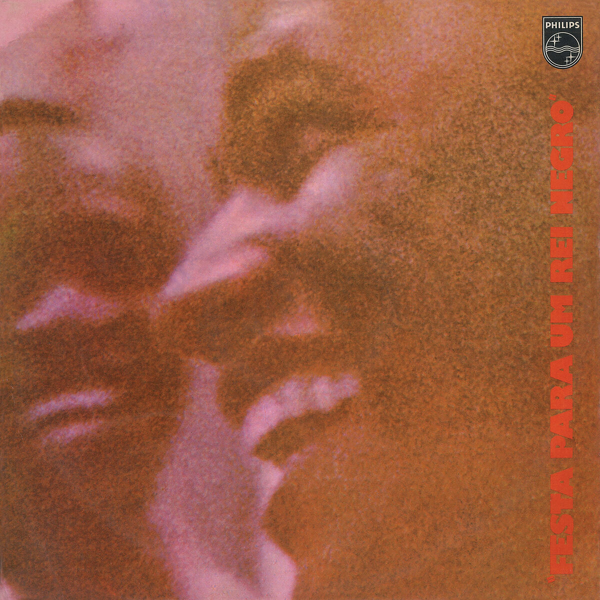 Album cover of Festa Para Um Rei Negro