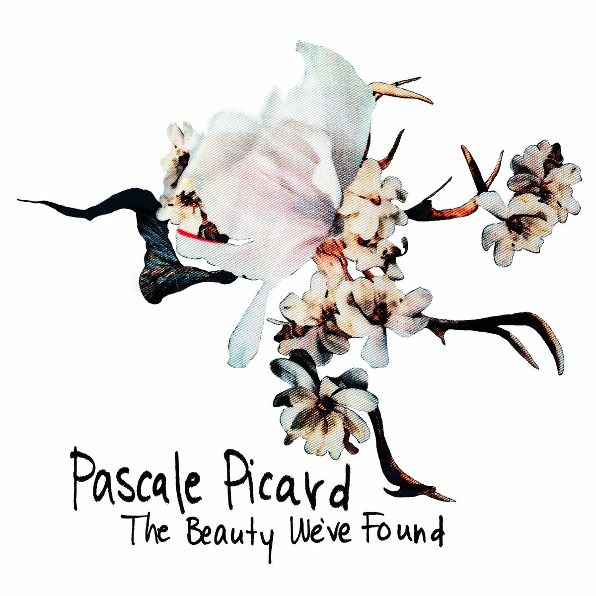 Album cover of The Beauty We've Found