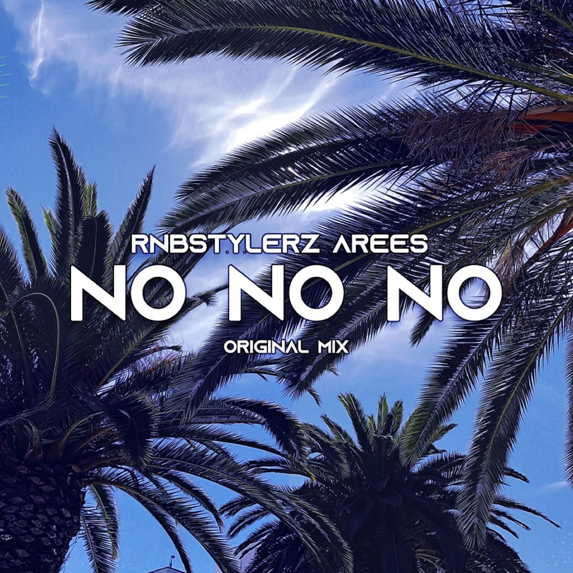 Album cover of No No No