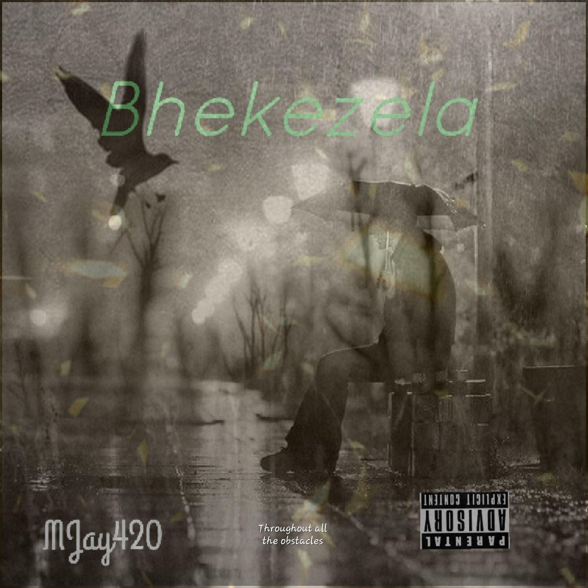 Album cover of Bhekezela