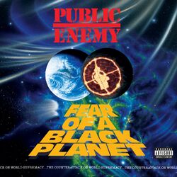 Cover of Fear Of A Black Planet