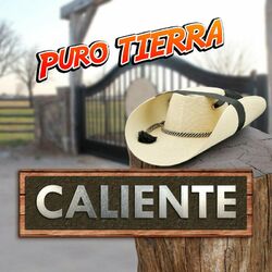 Cover of Puro Tierra Caliente (Norteño)